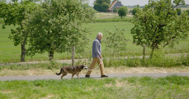 Met-Bromet-naar-hondencursus (2)